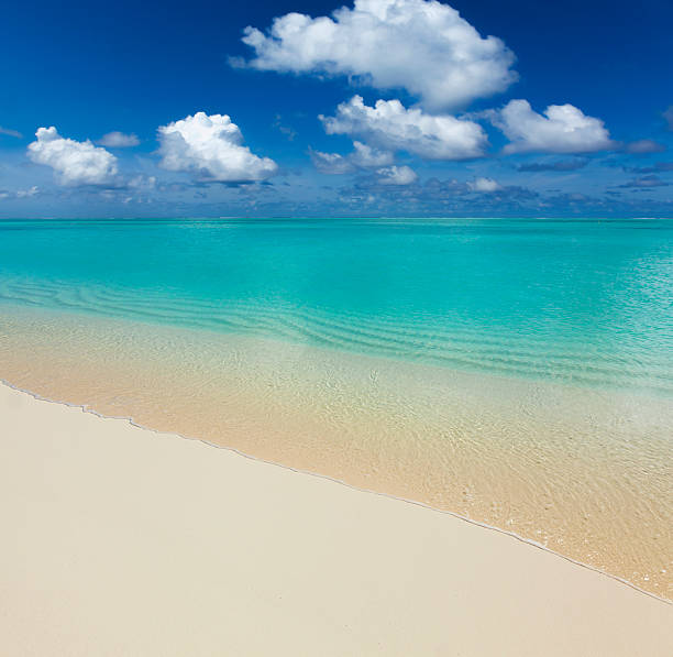 virgin beach with white sand, turquoise sea, blue sky