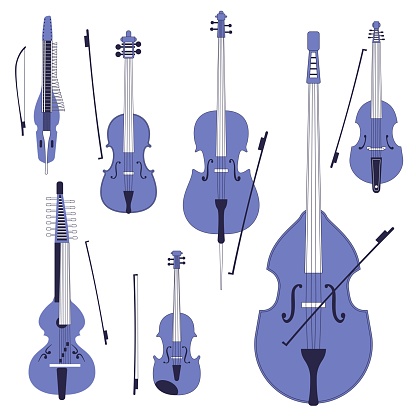 Set of different violins, string instruments.Vector images of musical instruments.