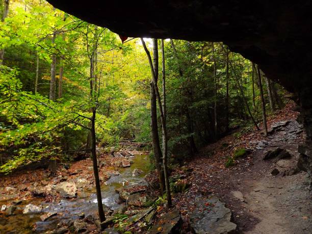 istock Savage Gulf State Natural Area Tenneessee 1859850655