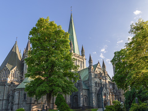 Nidaros Cathedral in Trondheim, Norway, a stunning Gothic masterpiece and national shrine, stands majestically under a clear blue sky, its historic facade bathed in the warm glow of the setting sun, encircled by vibrant green foliage