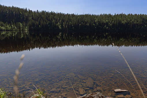 The tranquil, clear waters of Snasavatnet in Steinkjer, Norway, mirror the dense forest on its shores, capturing a serene summer day with warm sunlight