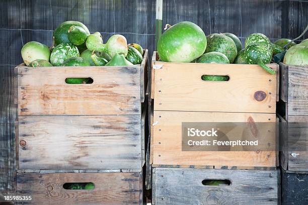 Frescos Cair Gourds E Grades Em Rústico Celeiro Definição - Fotografias de stock e mais imagens de Abrigo de Jardim