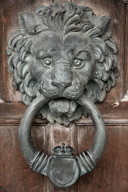 chiński szef żeliwo kołatka do drzwi - door knocker door lion luxury zdjęcia i obrazy z banku zdjęć