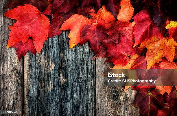 Autumn Leaves On Picnic Table Lightly Diffused Stock Photo - Download Image Now - Autumn, Backgrounds, Beauty