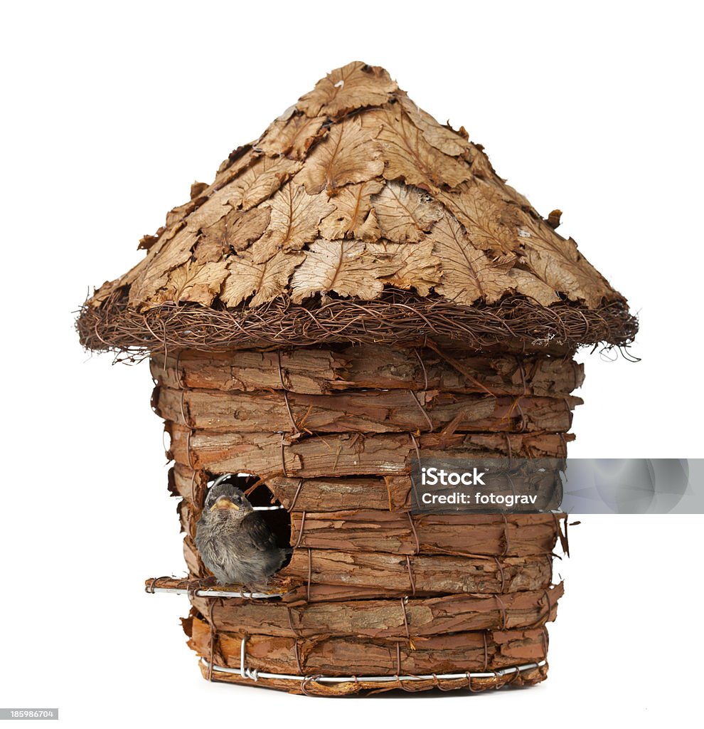 Vogelhäuschen mit little sparrow - Lizenzfrei Bildhintergrund Stock-Foto