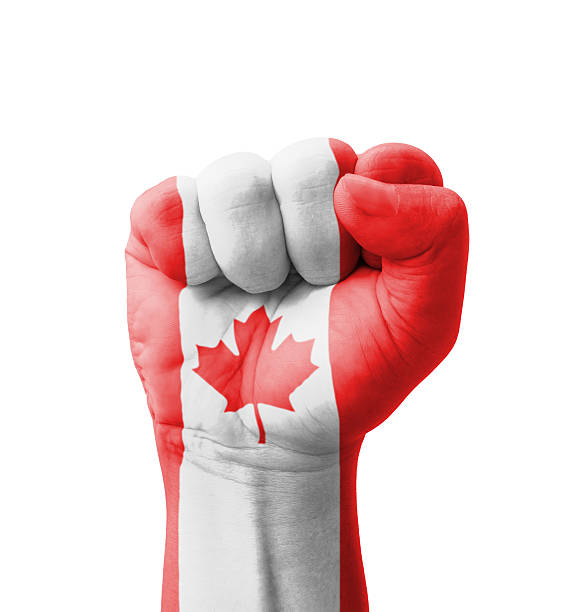 istock Fist of Canada flag painted, multi purpose concept 185986737
