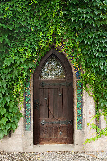 istock Old wooden door 185988009