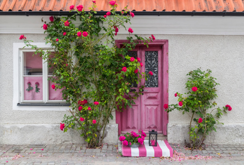 Roses decorating the house entrance in the town of Visby (Gotland, Sweden).