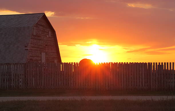 istock Agriculture Farm Sunset 185988959