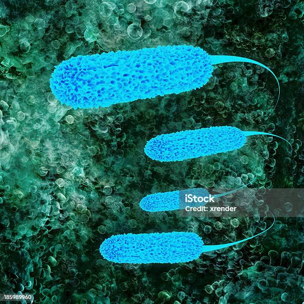 Aus Ecoli Bakterien 3dillustration Stockfoto und mehr Bilder von Allergie - Allergie, Amöbe, Bacillus subtilis