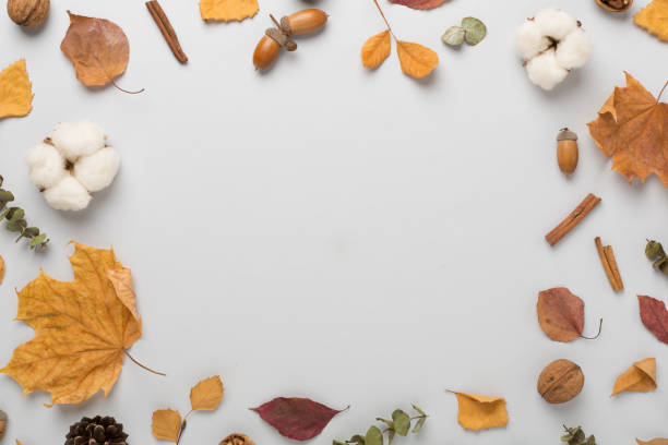 istock Autumn leaves with decor on color background, top view 1859899772