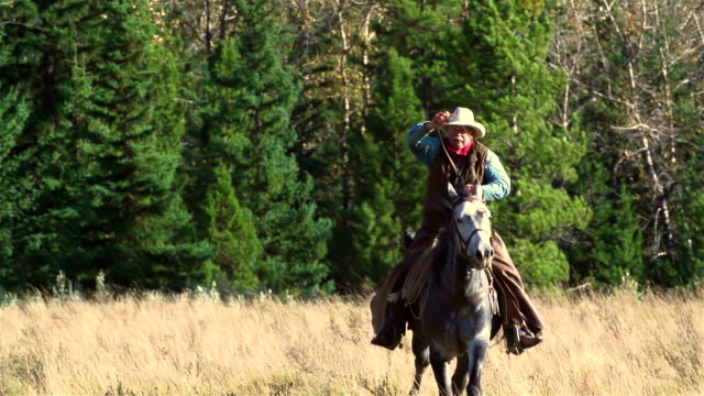 Cowboy galloping on horseback