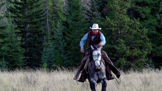 Cowboy galloping on horseback