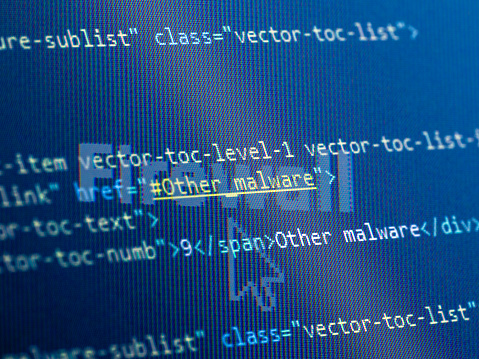 Source code on web page, computer security concept