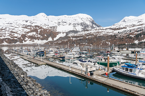 Snow covered mountain reflected in the calm waters of Whittier marina, Whittier, Alaska, USA