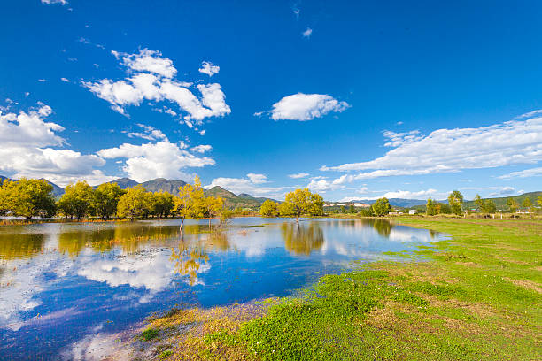 wetland de outono - lijiang landscape wetland marsh - fotografias e filmes do acervo