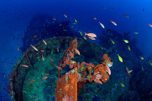 Photo of Shipwreck