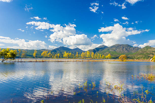 wetland de outono - lijiang landscape wetland marsh - fotografias e filmes do acervo