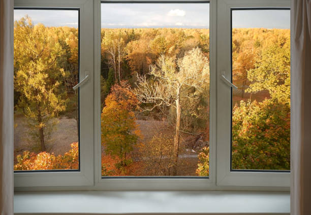 istock View from the window, yellow trees, park view. 1860013336