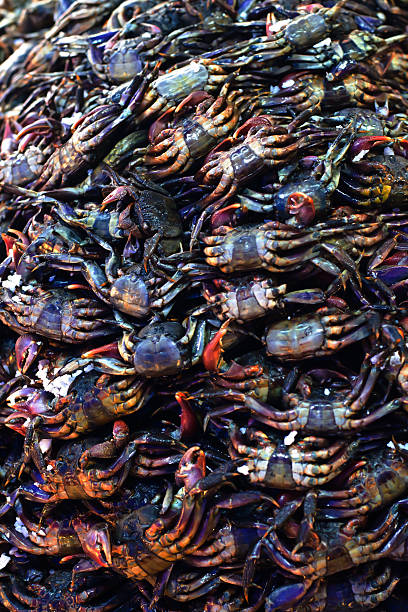 istock Crabs in market,Thailand 186001564