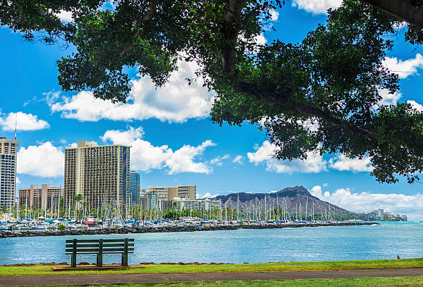 istock Ala Wai Marina and Diamond Head 186003686