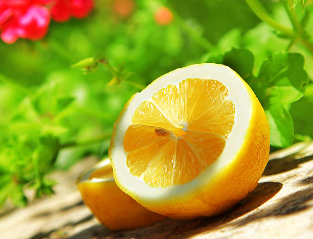 frescos limão - lemon fruit portion citrus fruit imagens e fotografias de stock