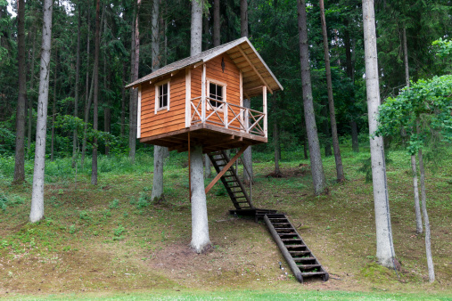 Remote wooden tree house in the forest