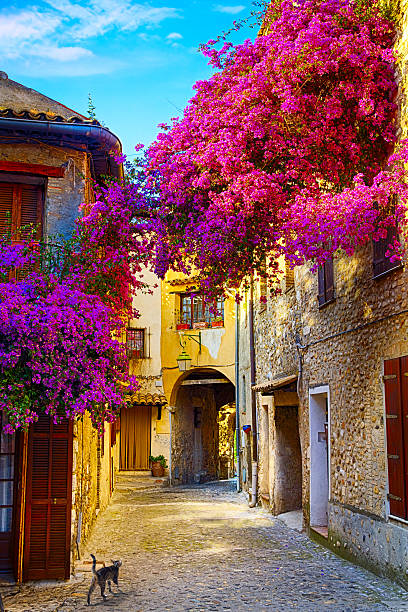 istock art beautiful old town of Provence 186004328