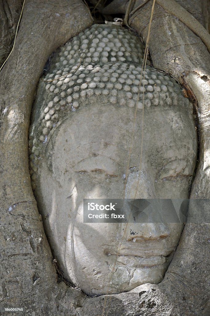 Perdido en meditación - Foto de stock de Abrazar libre de derechos