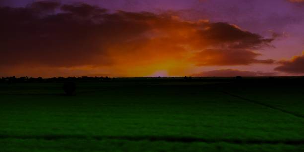 istock Beautiful landscape sunset at rice field 1860057565