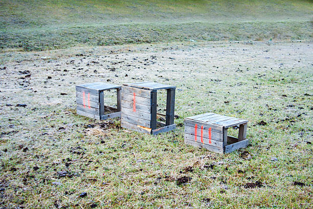 pedestal with first, second and third places