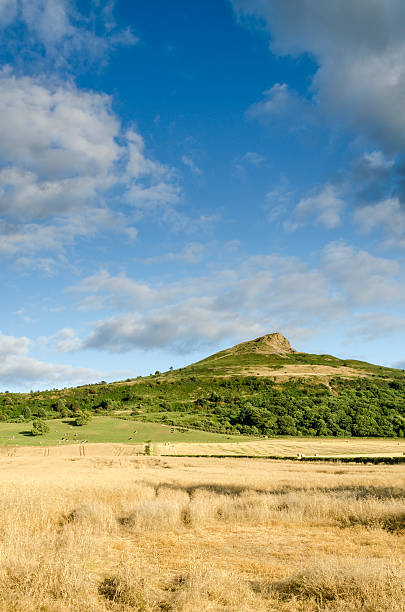 istock Big sky over Roseberry Topping 186006079