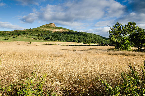 istock Roseberry Topping from the north 186007337
