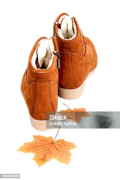 Womens Autumn Shoes Stock Photo - Download Image Now - Autumn, Beauty, Boot