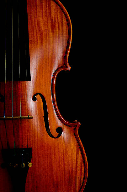 istock Full body shape violin agaist black background 186009067