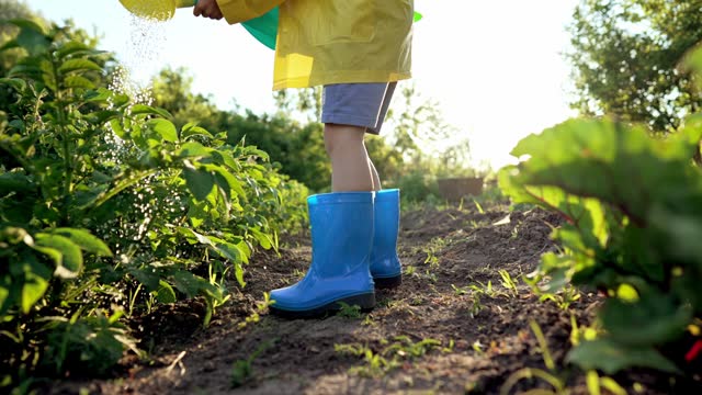 Boy child walks in rubber boots and raincoat on summer in village in summer under sun and helps his parents to water grass and plants for growing crops. Home farm and garden. Path on plot. Plant care.