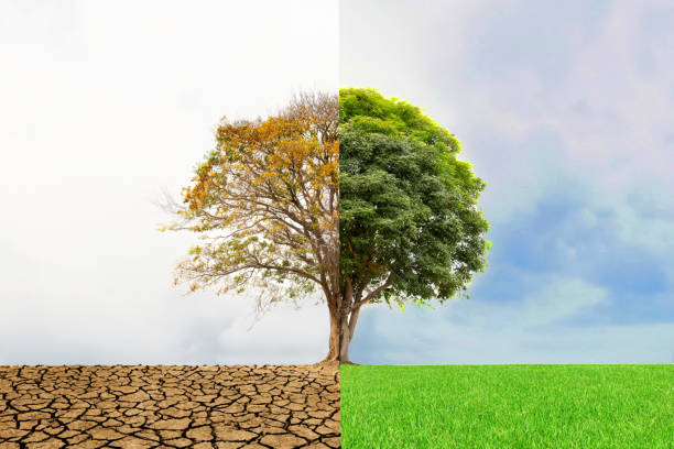 istock Environmental and global warming concepts. Global climate change crisis. 1860150803