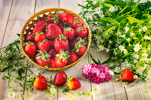 A harvest of ripe strawberries in a basket and a bouquet of wild flowers. Summer still life, top view
