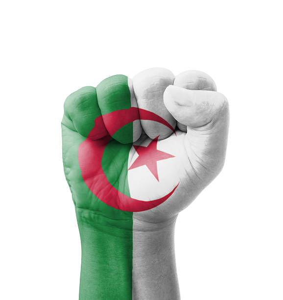 Fist of Algeria flag painted, multi purpose concept - isolated on white background