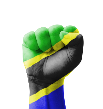 Fist of Tanzania flag painted, multi purpose concept - isolated on white background