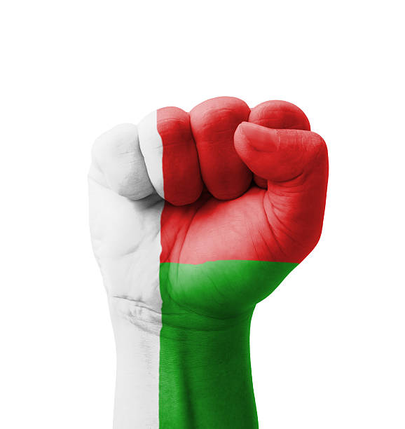 istock Fist of Madagascar flag painted, multi purpose concept 186017504
