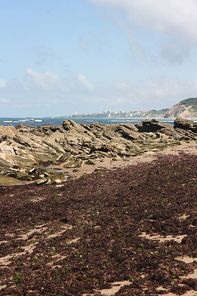 istock Guethary beach, Basque Country, France. 186017869