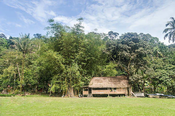 istock Traditional wooden house 186018986