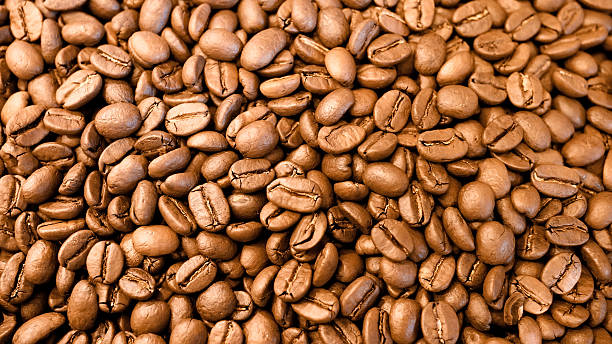 Coffee Bean after roast stock photo