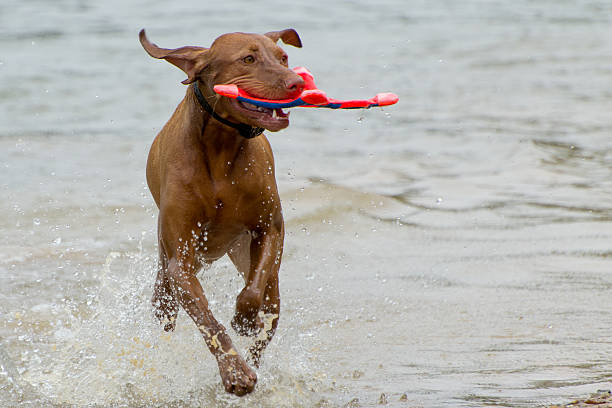 istock Day at the lake 186019235