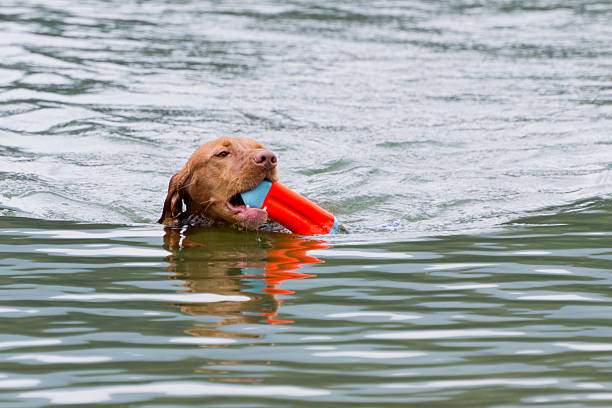 istock Day at the lake 186019240