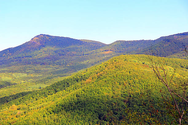 istock Summer landscape with Caucasus green mountains 186021763