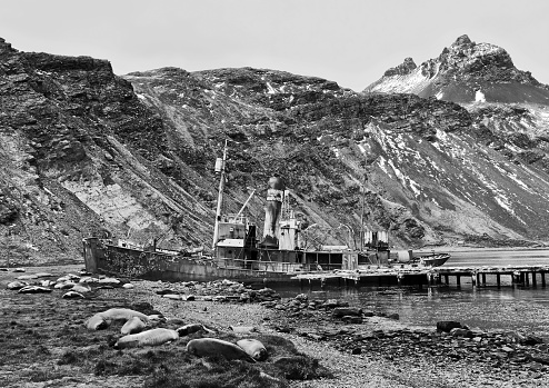 Shipwreck at Grytviken