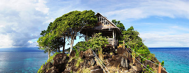 apo остров, филиппины - apo island стоковые фото и изображения