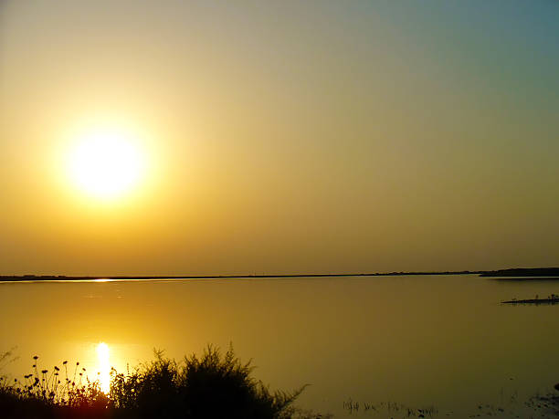 zachód słońca nad jeziorem - wilderness area flower pond clear sky zdjęcia i obrazy z banku zdjęć